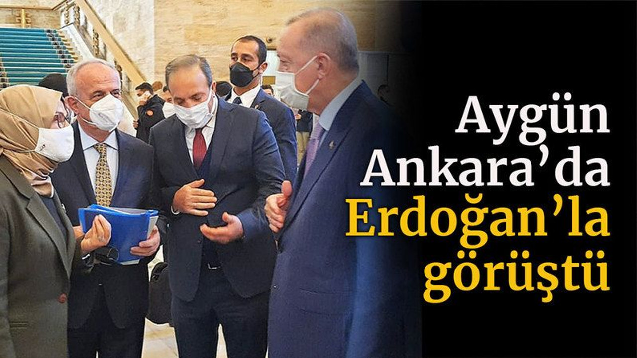 Aygün Ankara'da Erdoğan'la görüştü